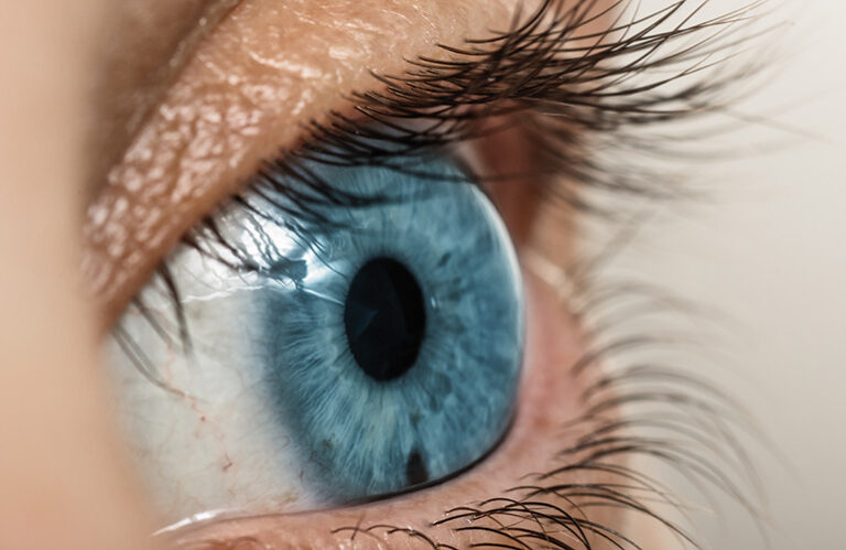 Human eye AdobeStock 428959653 svetazi 768x499 1